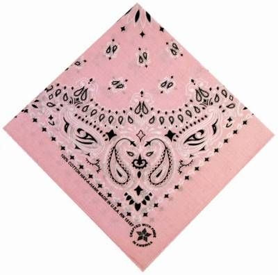 Bandana__Paisley_22Rose.jpg