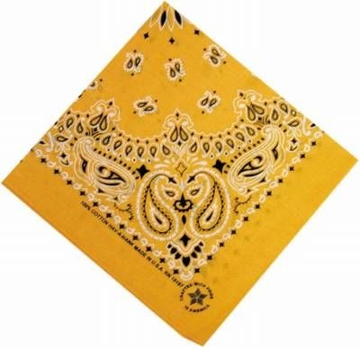 Bandana__Paisley_24Gold.jpg