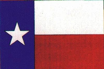 Handflagge_HF_3035_Texas.jpg