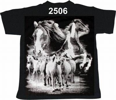 T-Shirt_2506.jpg