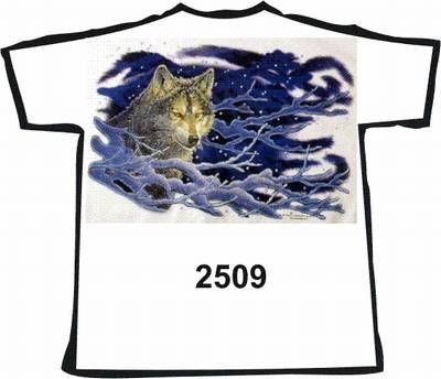 T-Shirt_2509.jpg