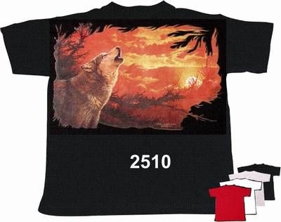 T-Shirt_2510.jpg